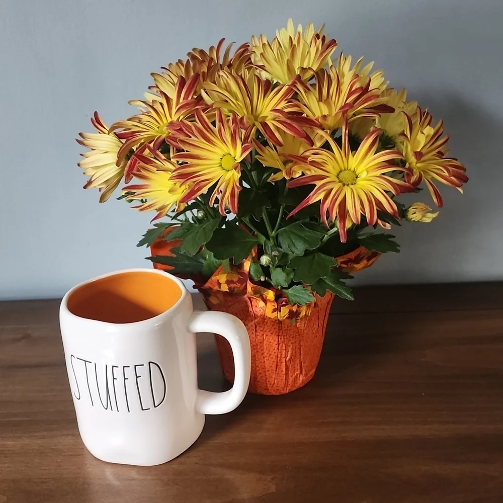 - Rae Dunn STUFFED Mug‎